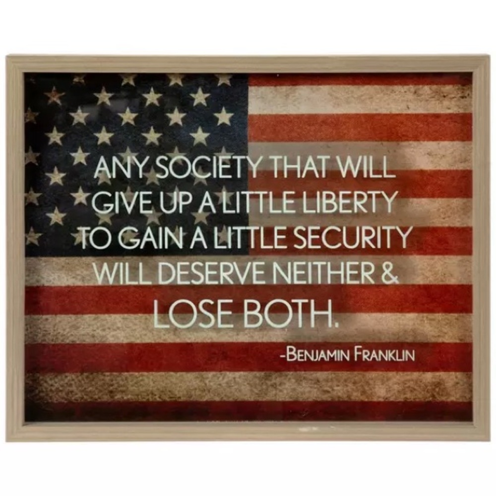 Benjamin Franklin Quote Framed Wall Decor